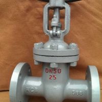 閘閥Z41H-25C DN50